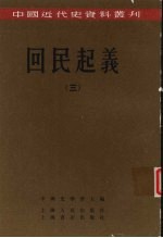 回民起义 3