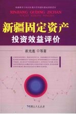 新疆固定资产投资效益评价