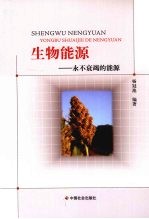 生物能源 永不衰竭的能源