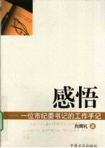 感悟 一位市纪委书记的工作手记