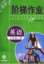 阶梯作业 英语 七年级 上