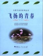 飞扬的青春 2