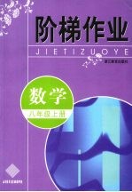 阶梯作业 数学 八年级 上