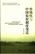 市场化与中国农村制度变迁