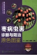 枣病虫害诊断与防治原色图鉴