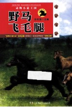 荒原地带 野马飞毛腿