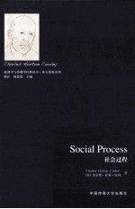 社会过程 英文