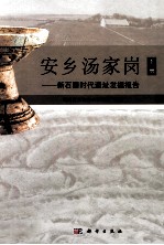 安乡汤家岗 新石器时代遗址发掘报告 下