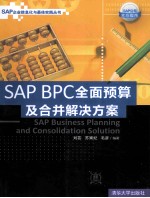 SAP BPC全面预算及合并解决方案