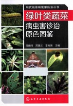 绿叶类蔬菜病虫害诊治原色图鉴