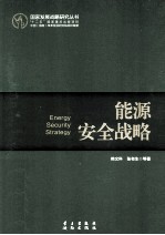 国家能源安全战略