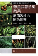 现代蔬菜病虫害防治丛书 葱姜蒜薯芋类蔬菜病虫害诊治原色图鉴