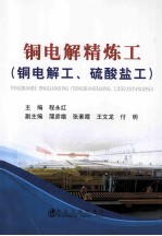铜电解精炼工 铜电解工、硫酸盐工