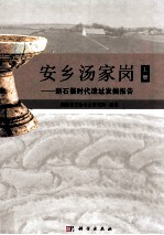 安乡汤家岗 新石器时代遗址发掘报告 上