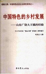 中国特色的乡村发展:山东广饶大王镇的经验