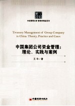 中国集团公司资金管理 理论、实践与案例