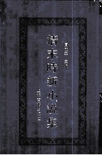 清末时新小说集 10