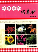 观花植物巧养护