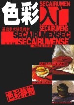 色彩入门 色彩静物