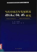 当代中国青年发展状况指标体系研究 中国青年发展状况研究报告 2003-2004