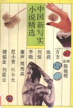 中国新写实小说精选