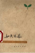 如火如风 诗集