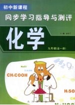 初中新课程同步学习指导与测评 化学 九年级