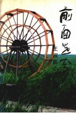 前面是家 王淑影小说集