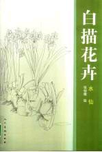 花卉白描 水仙
