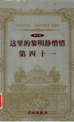 这里的黎明静悄悄 41