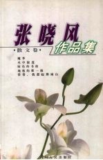 张晓风作品集 散文卷