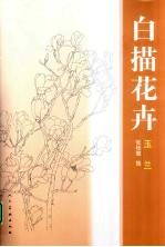 花卉白描 玉兰