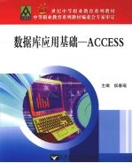 数据库应用基础 ACCESS