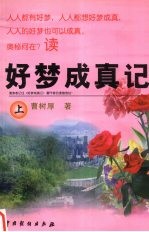 好梦成真记 上
