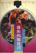 摄影构图技巧