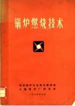锅炉燃烧技术
