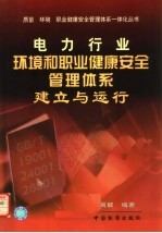 电力行业环境和职业健康安全管理体系建立与运行