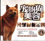宠物狗美容