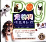 宠物狗喂养及训练