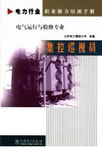 集控巡视员