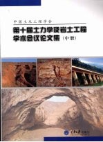 中国土木工程学会第十届土力学及岩土工程学术会议论文集 中