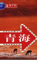 走遍中国 青海