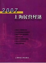 2007 上海民营经济