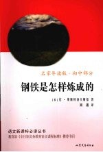 钢铁是怎样炼成的 初中部分 名家导读版
