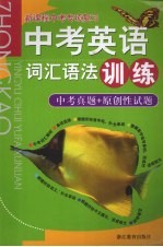 新课程中考专项复习 中考英语词汇语法训练
