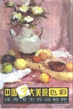 中国3大美院色彩优秀考生作品精粹