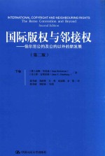 国际版权与邻接权 伯尔尼公约及公约以外的新发展 下 第2版