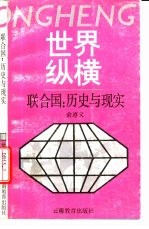 联合国：历史与现实
