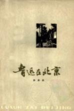 鲁迅在北京