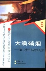 大漠硝烟 第三次中东战争纪实
